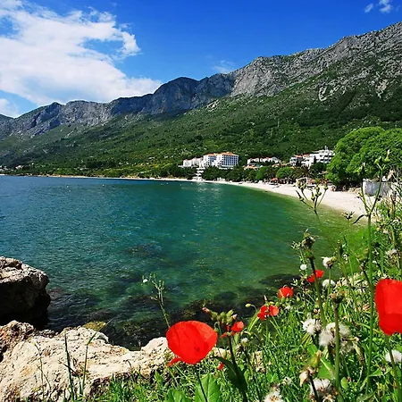 Ferienwohnung Mit Privater Terrasse * Gradac (Split-Dalmatia)
